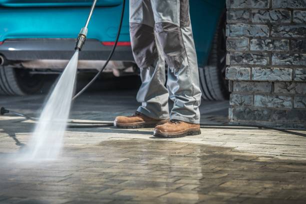 Best Fleet Vehicle Washing  in Miami Gardens, FL