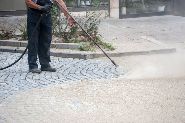 Best Animal Enclosure Cleaning  in Miami Gardens, FL